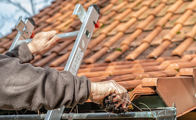 Gutters And Drains Gutters And Drains